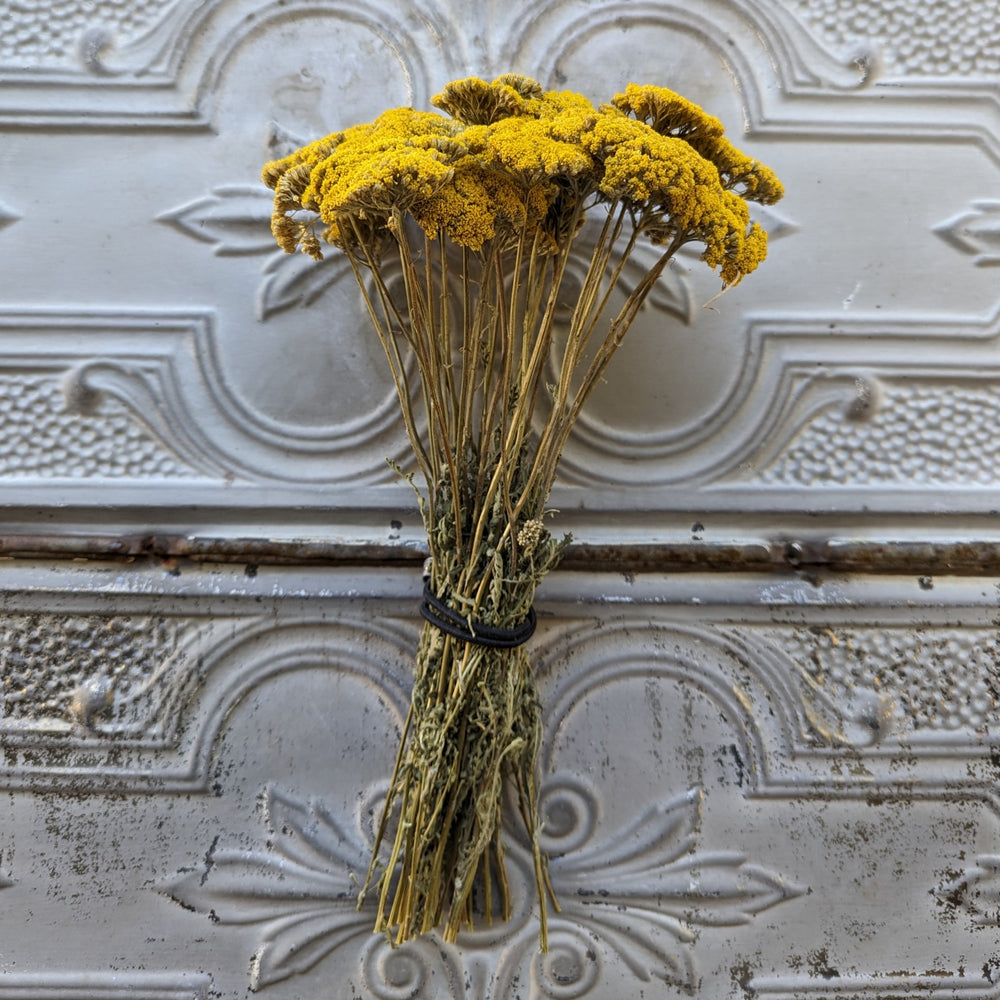 Dried Flowers-Yarrow Yellow