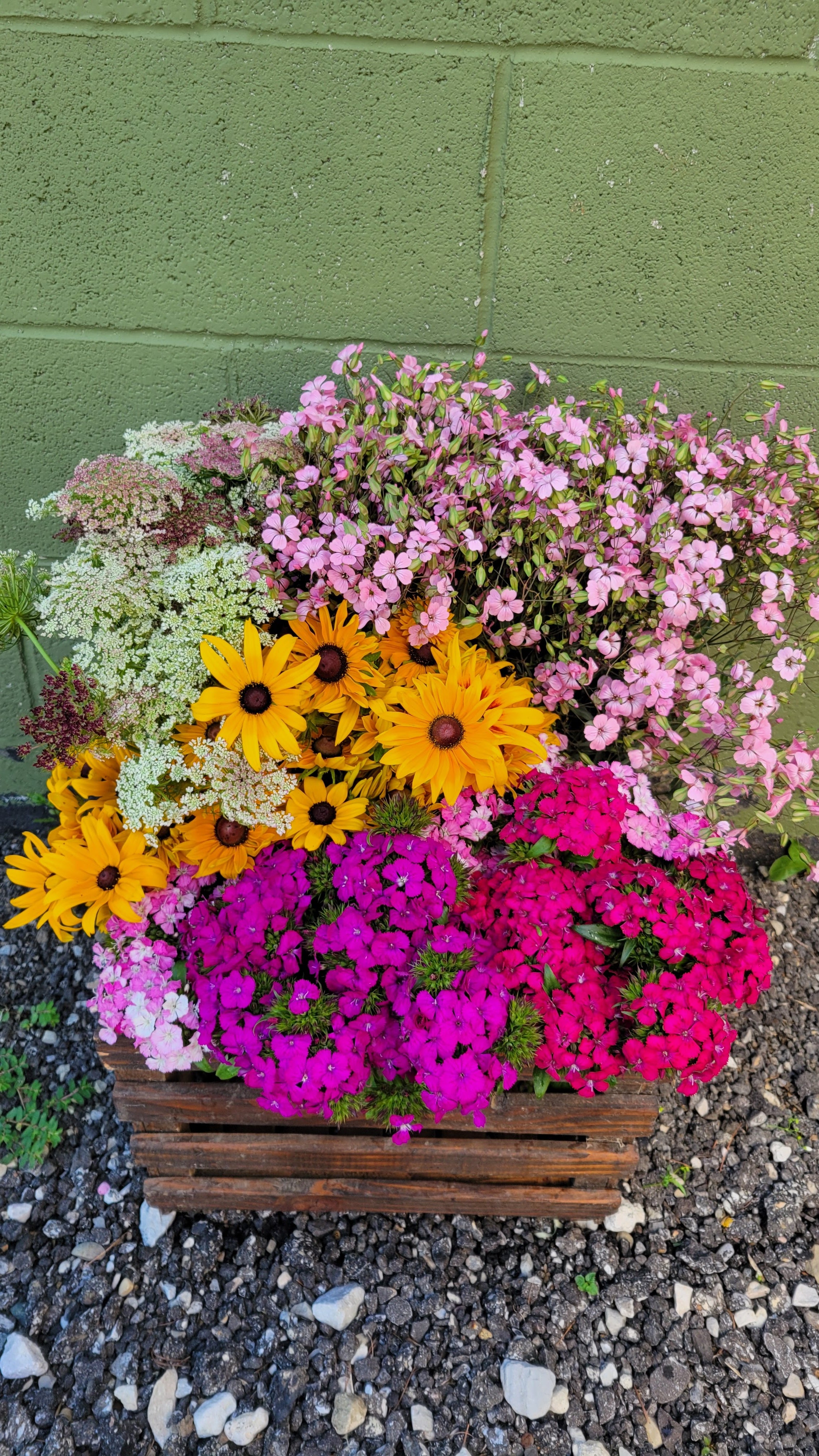Filler Mix Spring Box Lot