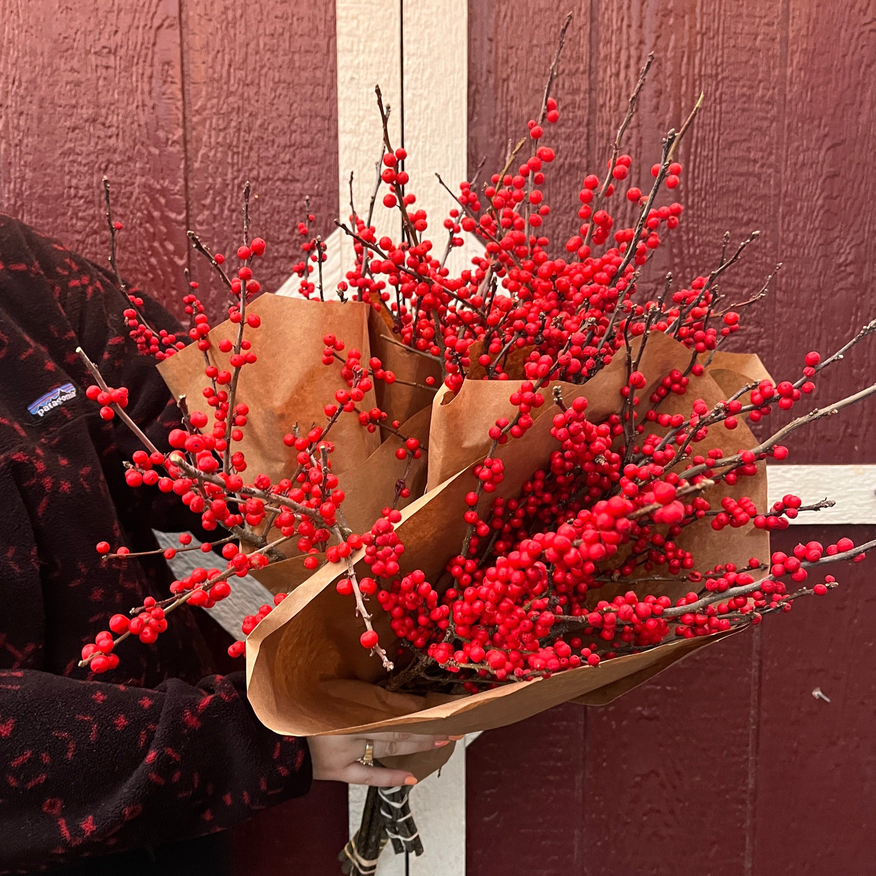 Winterberry-Red Ilex