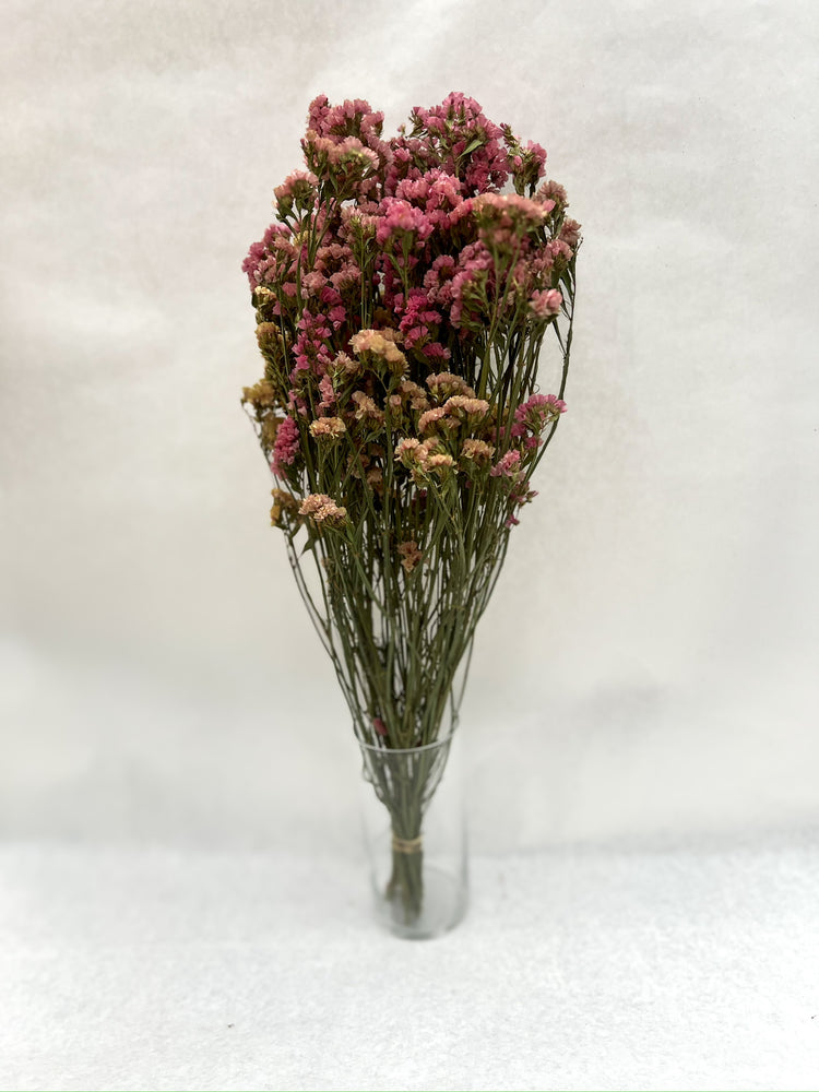 Dried Flowers-Statice Sunset - SMFF Wholesale