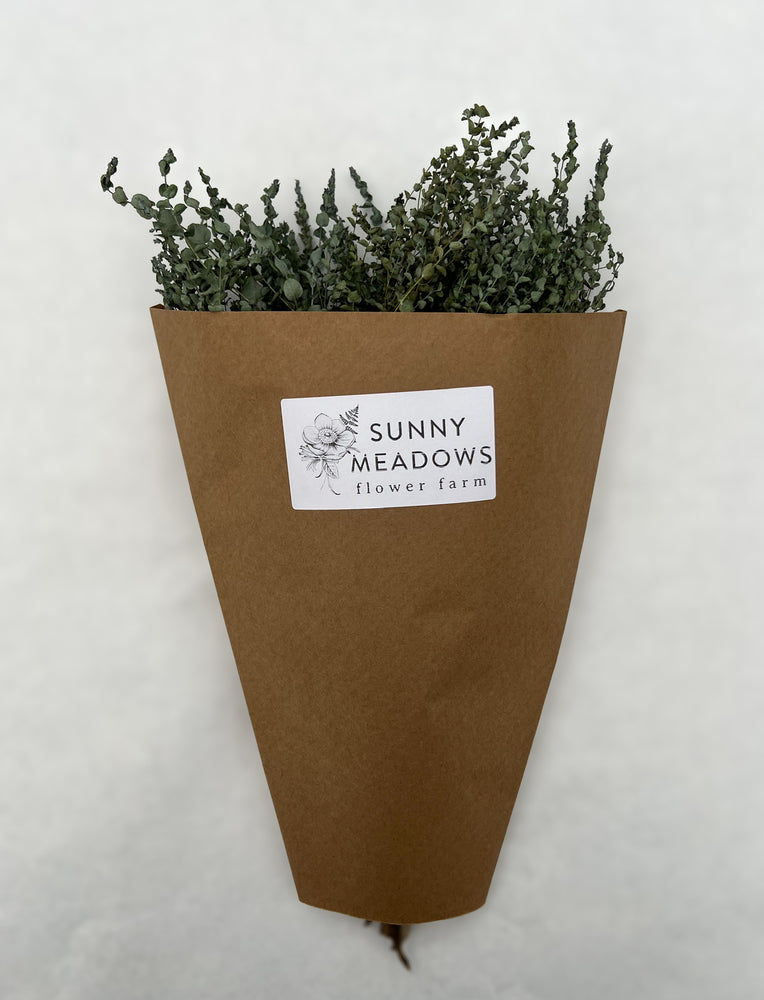 Dried Eucalyptus-Moon Lagoon