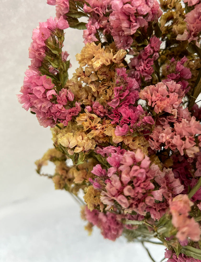Dried Flowers-Statice Sunset - SMFF Wholesale