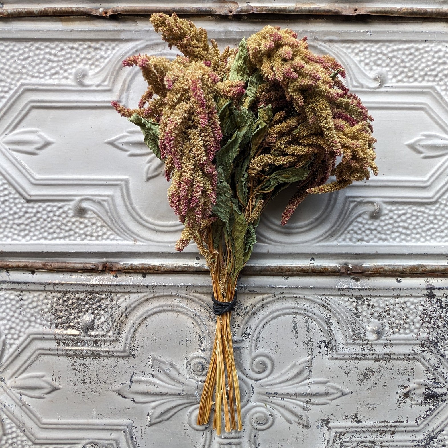 Dried Flowers-Amaranth Pistachio