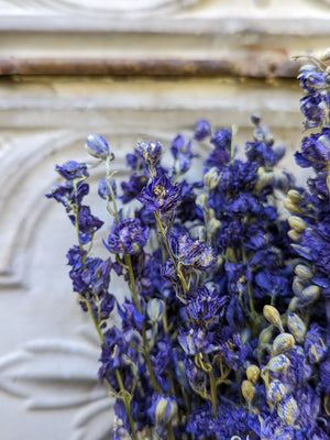 Dried Flowers-Larkspur Purple