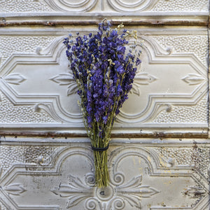 Dried Flowers-Larkspur Purple