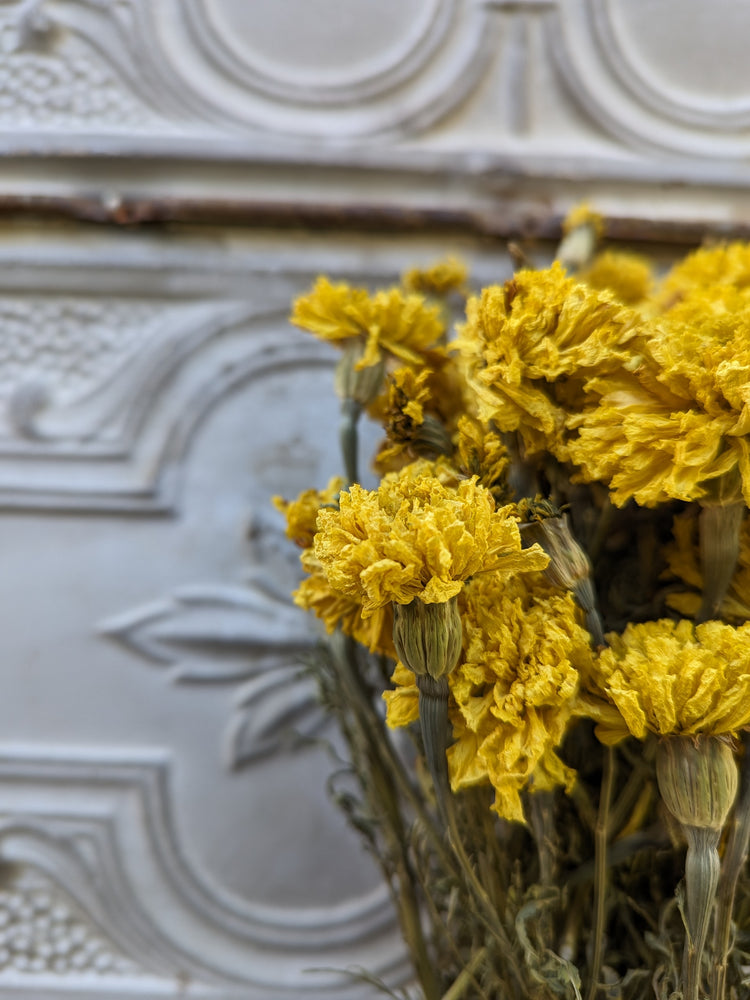 Dried Flowers-Marigold Yellow