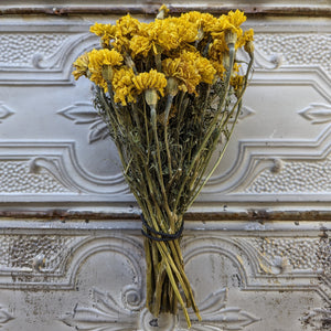 Dried Flowers-Marigold Yellow