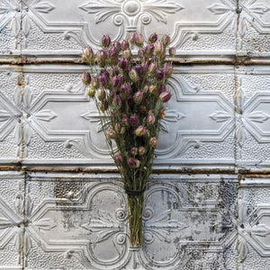 Dried Flowers-Nigella Pods Plum