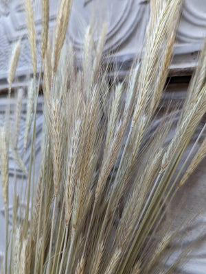 Dried Flowers-Rye