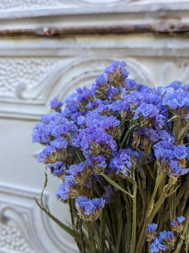 Dried Flowers-Statice Blue