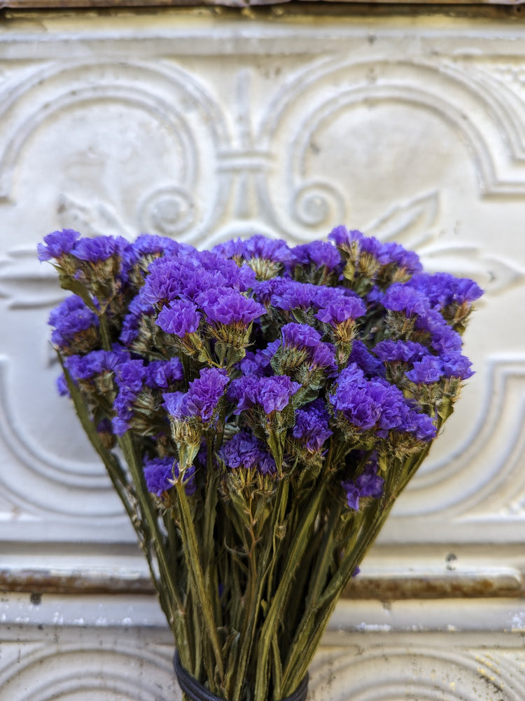 Dried Flowers-Statice Purple