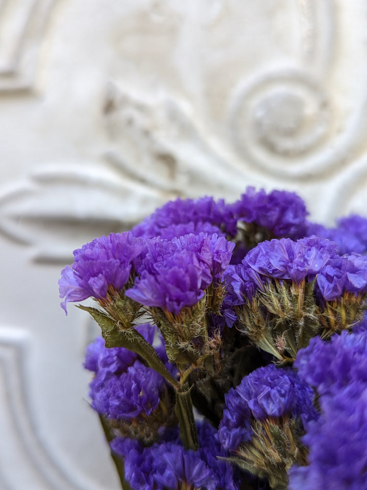 Dried Flowers-Statice Purple