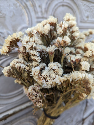 Dried Flowers-Statice White