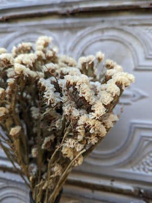 Dried Flowers-Statice White