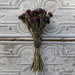 Dried Flowers-Strawflower Burgundy