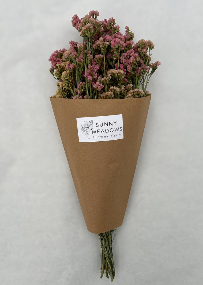 Dried Flowers-Statice Sunset - SMFF Wholesale