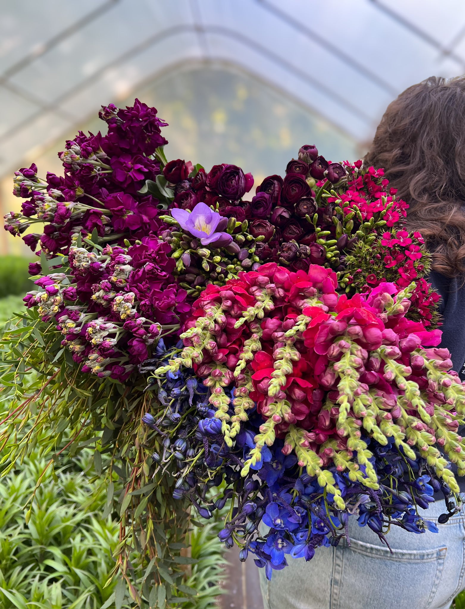 Grower's Design Pull-Dark & Moody