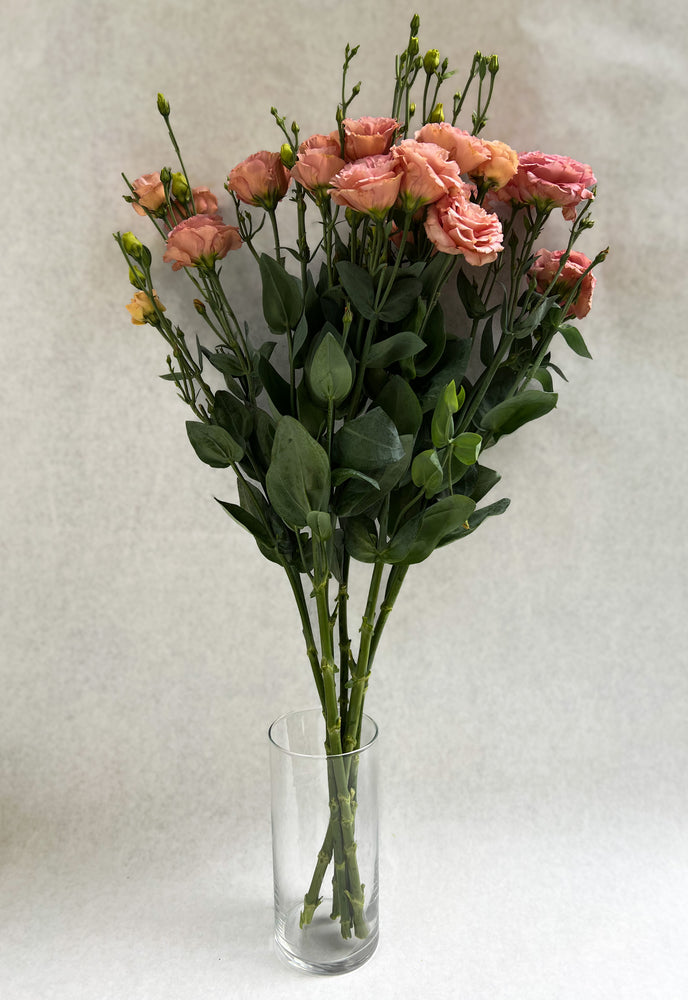 Lisianthus-Sabrina Orange - SMFF Wholesale