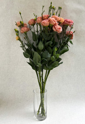Lisianthus-Sabrina Orange - SMFF Wholesale