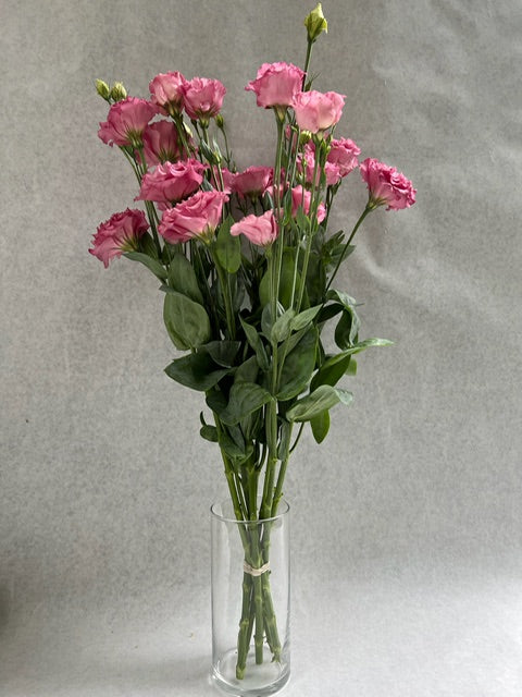 Lisianthus-Pink Ruffles