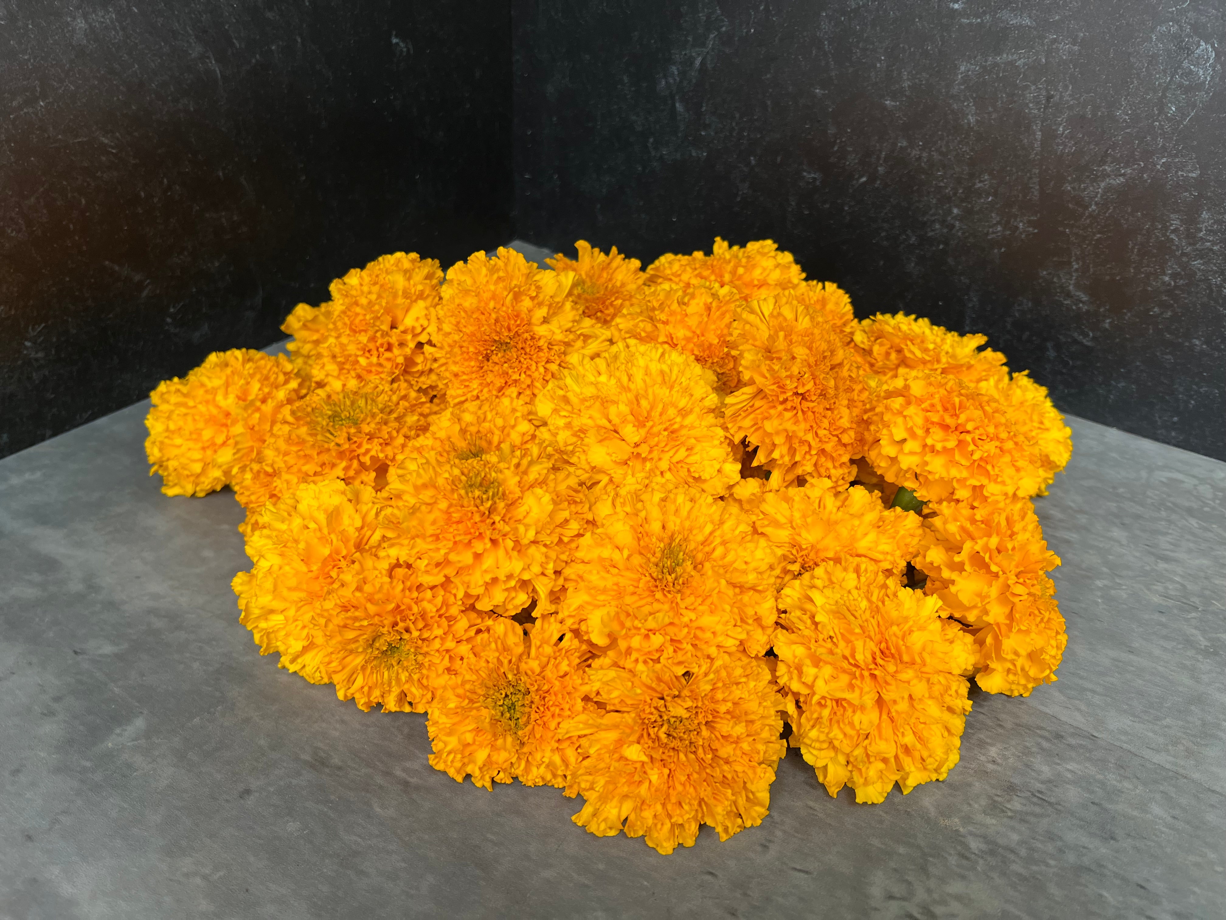 Marigold Heads-Gold