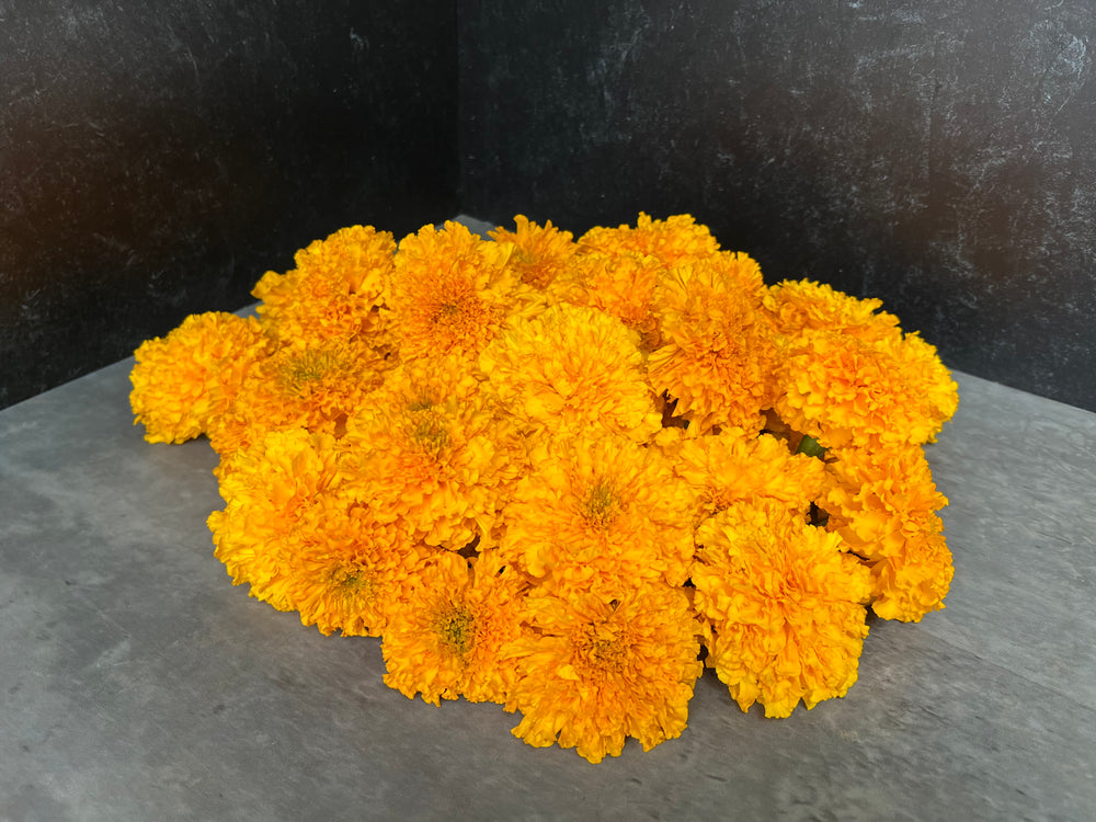 Marigold Heads-Gold
