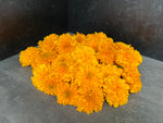Marigold Heads-Gold