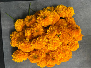 Marigold Heads-Gold