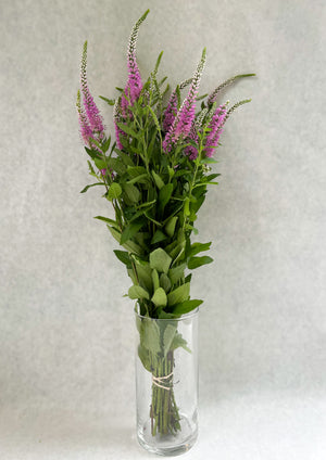 Veronica-Pink - SMFF Wholesale
