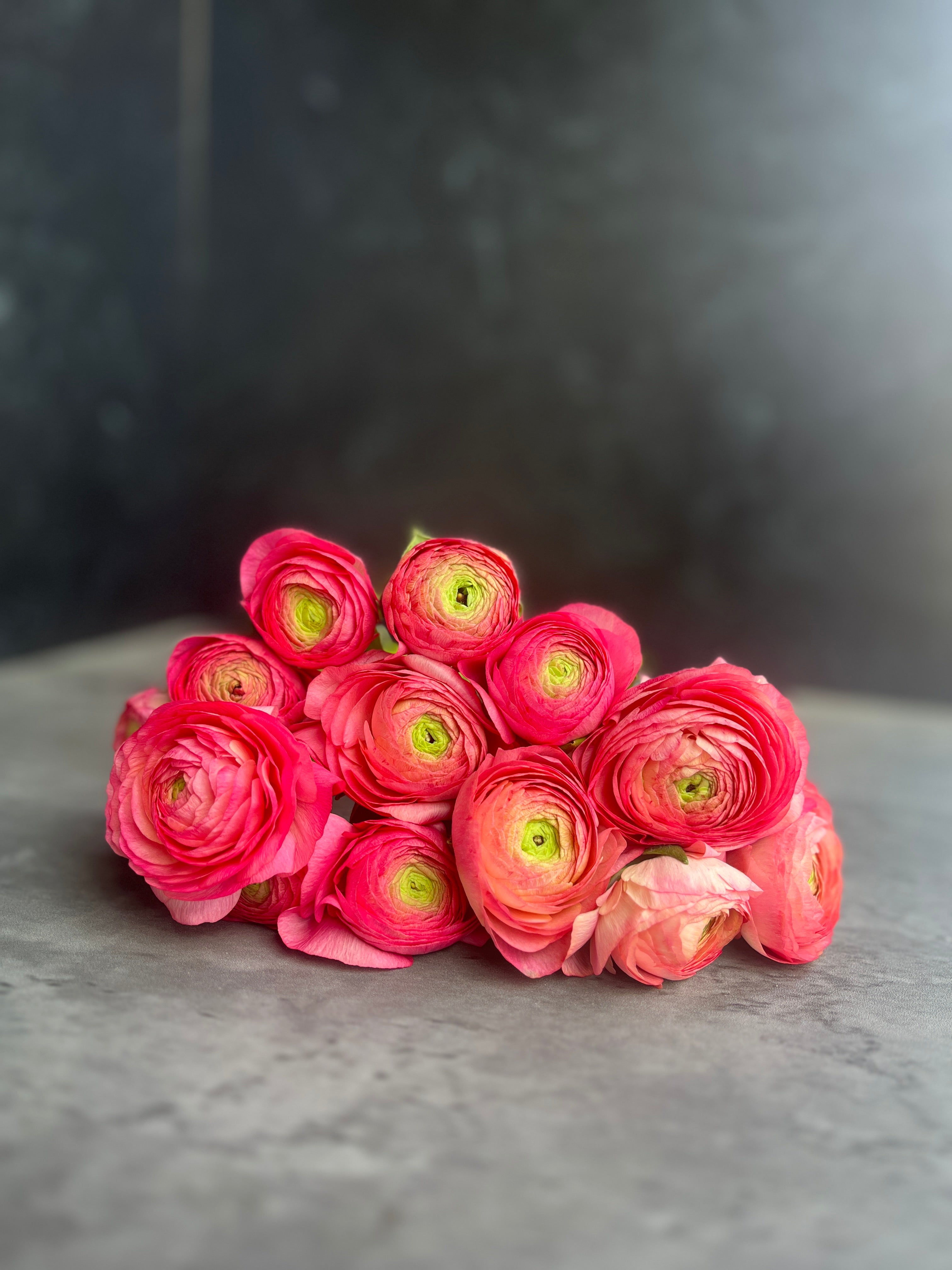 Ranunculus Specialty-Charleston