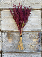 Dried Flowers-Amaranth Burgandy