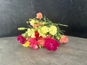 Mini Carnations-Mixed