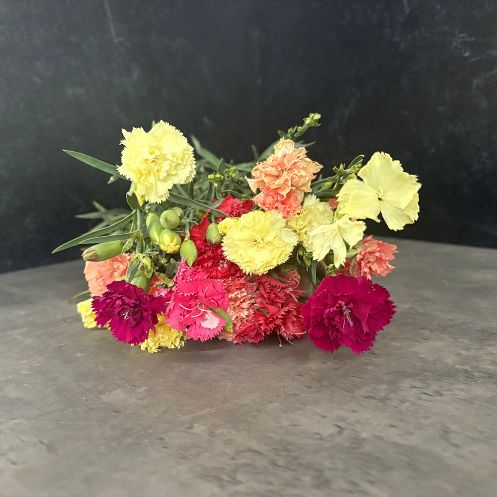 Mini Carnations-Mixed