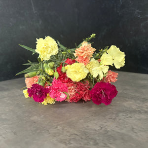 Mini Carnations-Mixed