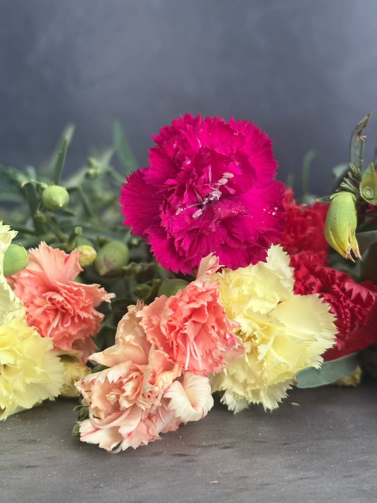 Mini Carnations-Mixed