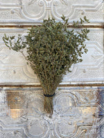 Dried Flowers-Oregano Italian