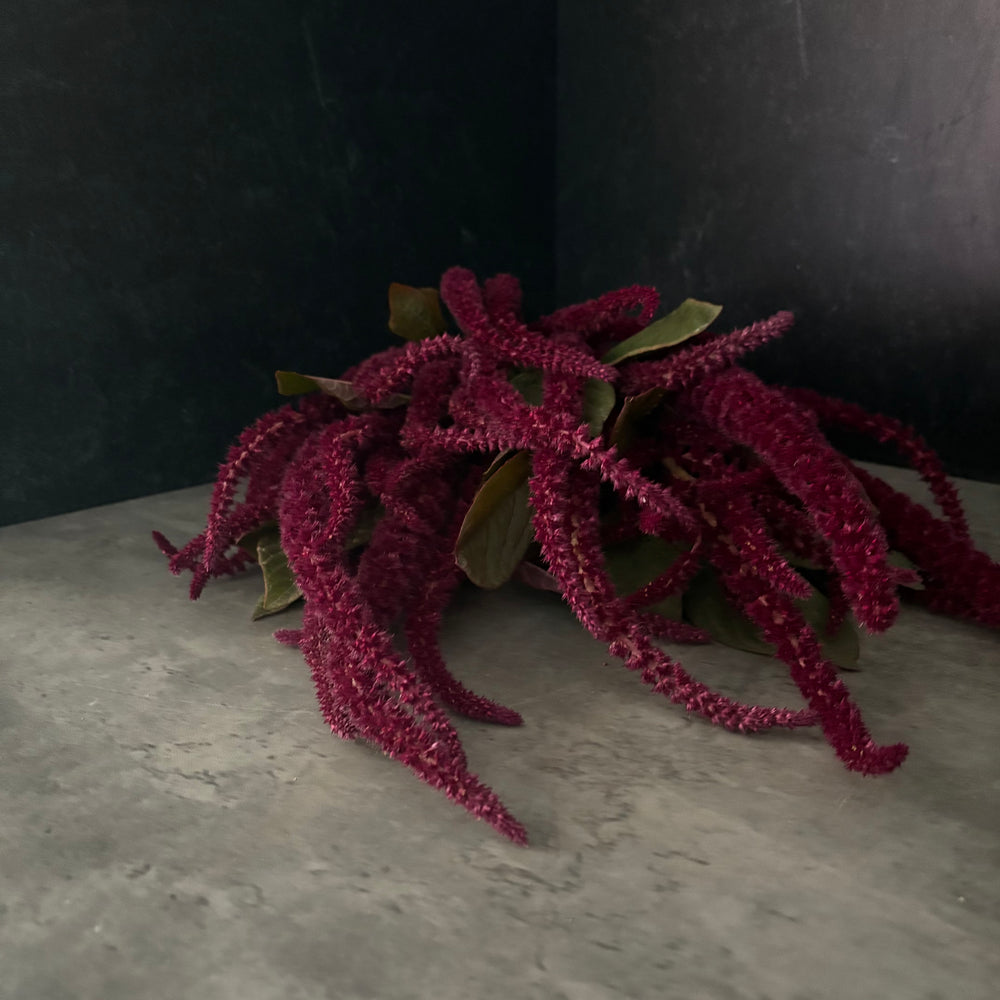 Amaranth-Red - SMFF Wholesale