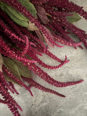 Amaranth-Red - SMFF Wholesale