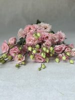 Lisianthus-Peach Ice - SMFF Wholesale