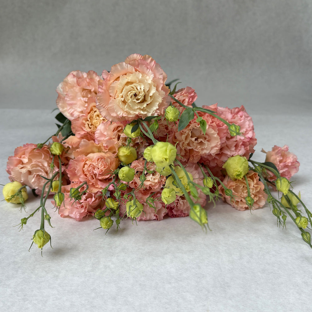 Lisianthus-Apricot Ruffles - SMFF Wholesale