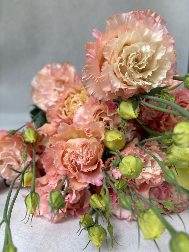Lisianthus-Apricot Ruffles - SMFF Wholesale