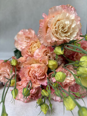 Lisianthus-Apricot Ruffles - SMFF Wholesale