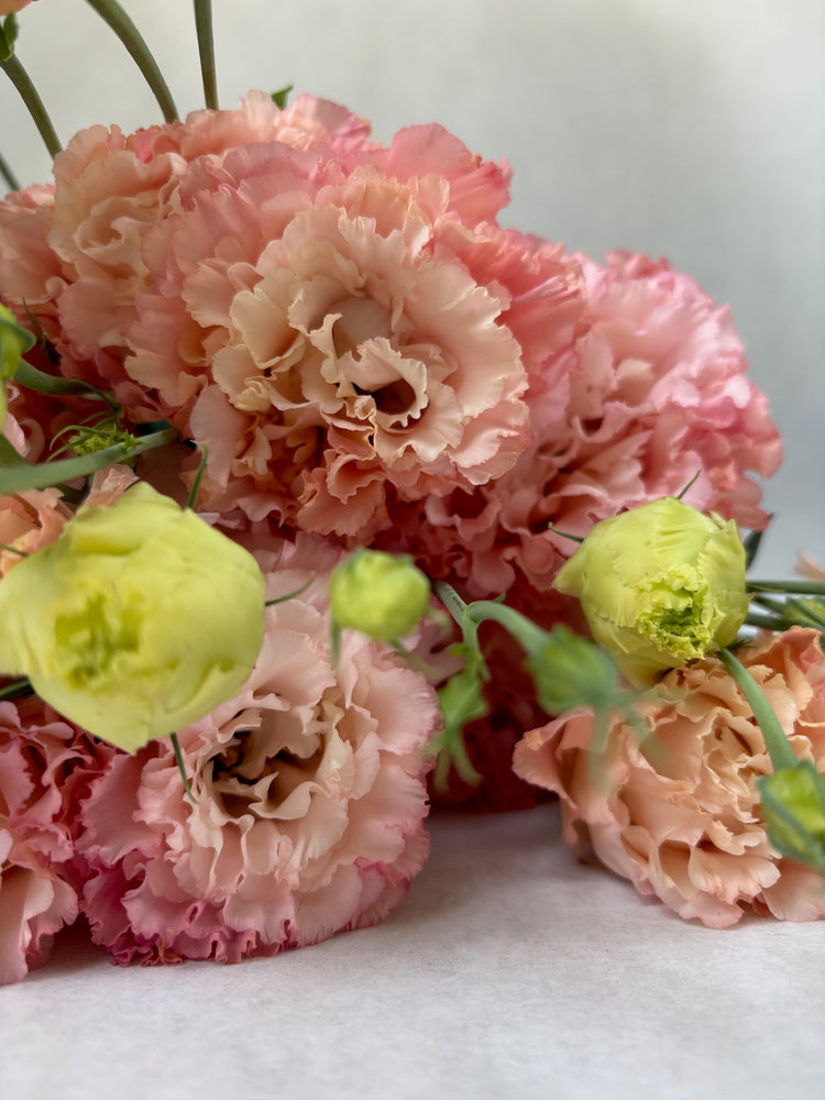Lisianthus-Apricot Ruffles - SMFF Wholesale