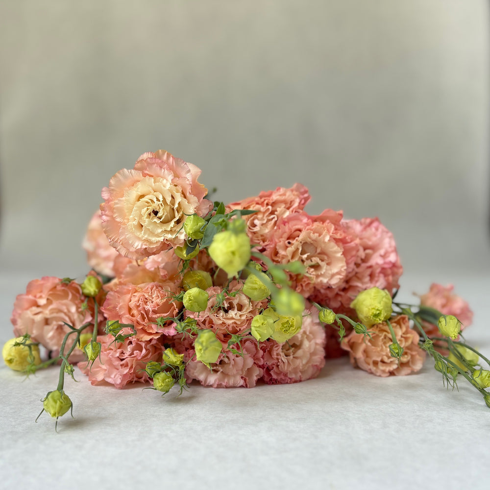 Lisianthus-Apricot Ruffles - SMFF Wholesale