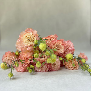 Lisianthus-Apricot Ruffles - SMFF Wholesale