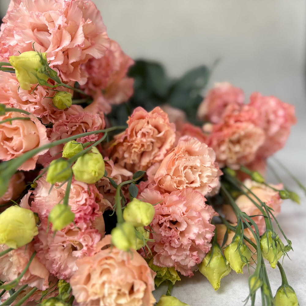 Lisianthus-Apricot Ruffles - SMFF Wholesale