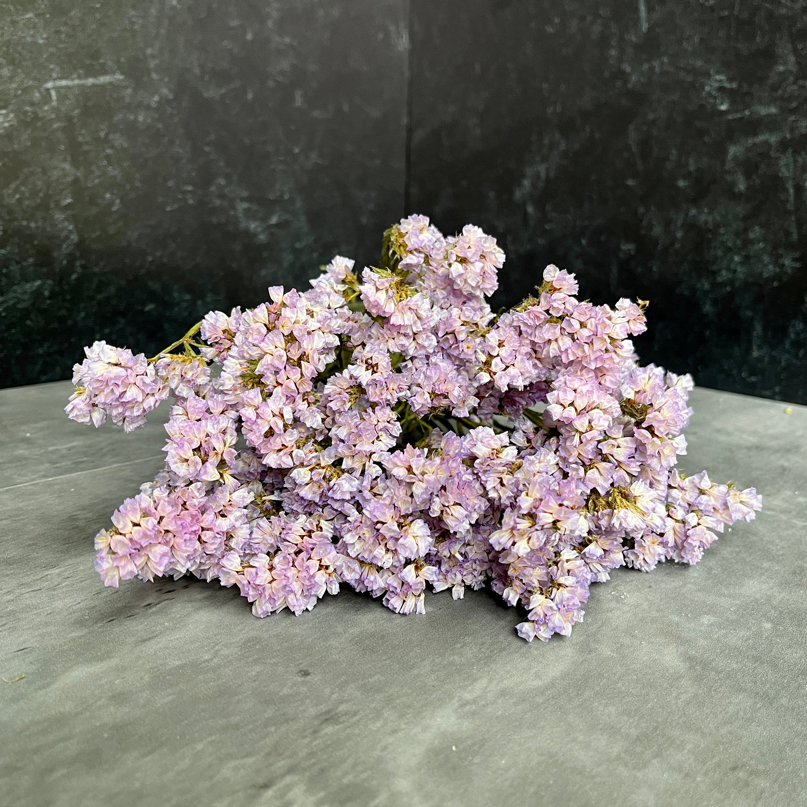 Dried Flowers-Statice Lavender
