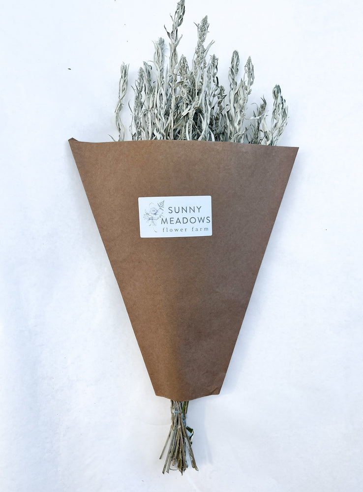 Dried Grasses-Artemisia Silver King - SMFF Wholesale