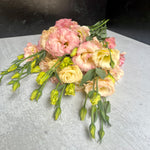 Lisianthus-Apricot Swirl