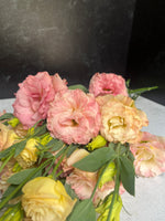 Lisianthus-Apricot Swirl